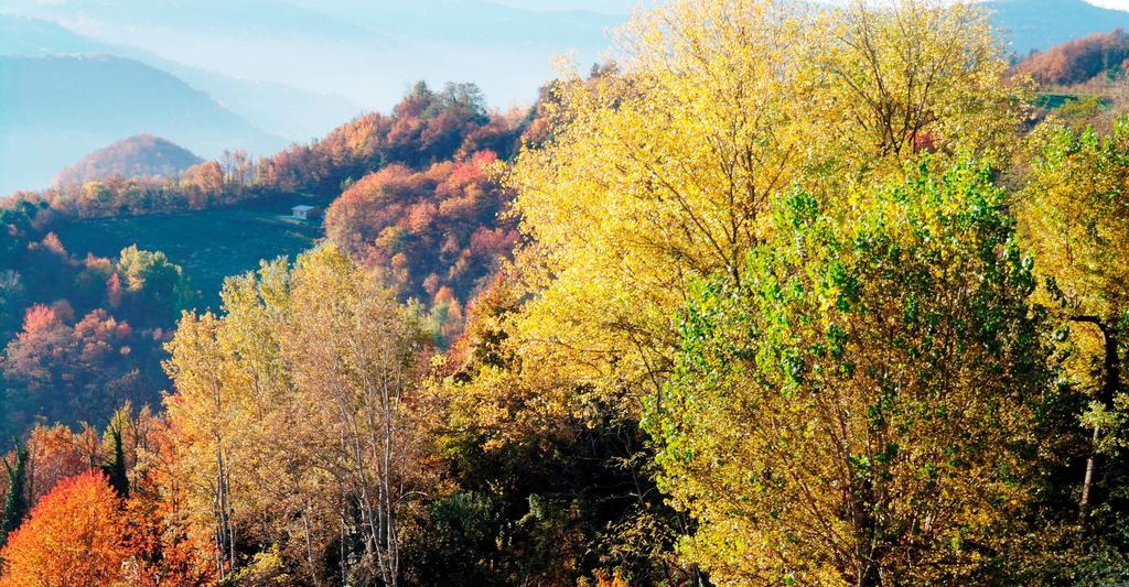 Borgo San Rocco Piemonte Apartman Castino Kültér fotó